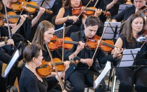 WhatsApp Image 2026-02-04 at 15.56.58